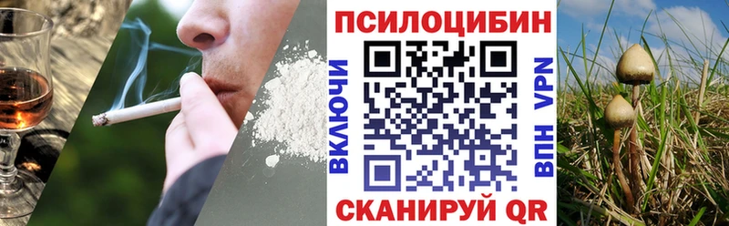ссылка на мегу сайт  Оренбург  Галлюциногенные грибы мицелий  сколько стоит 